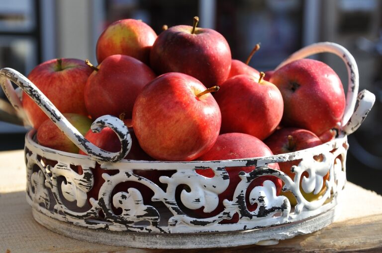 The Growing Trend of Digital Therapeutics for Mental Health