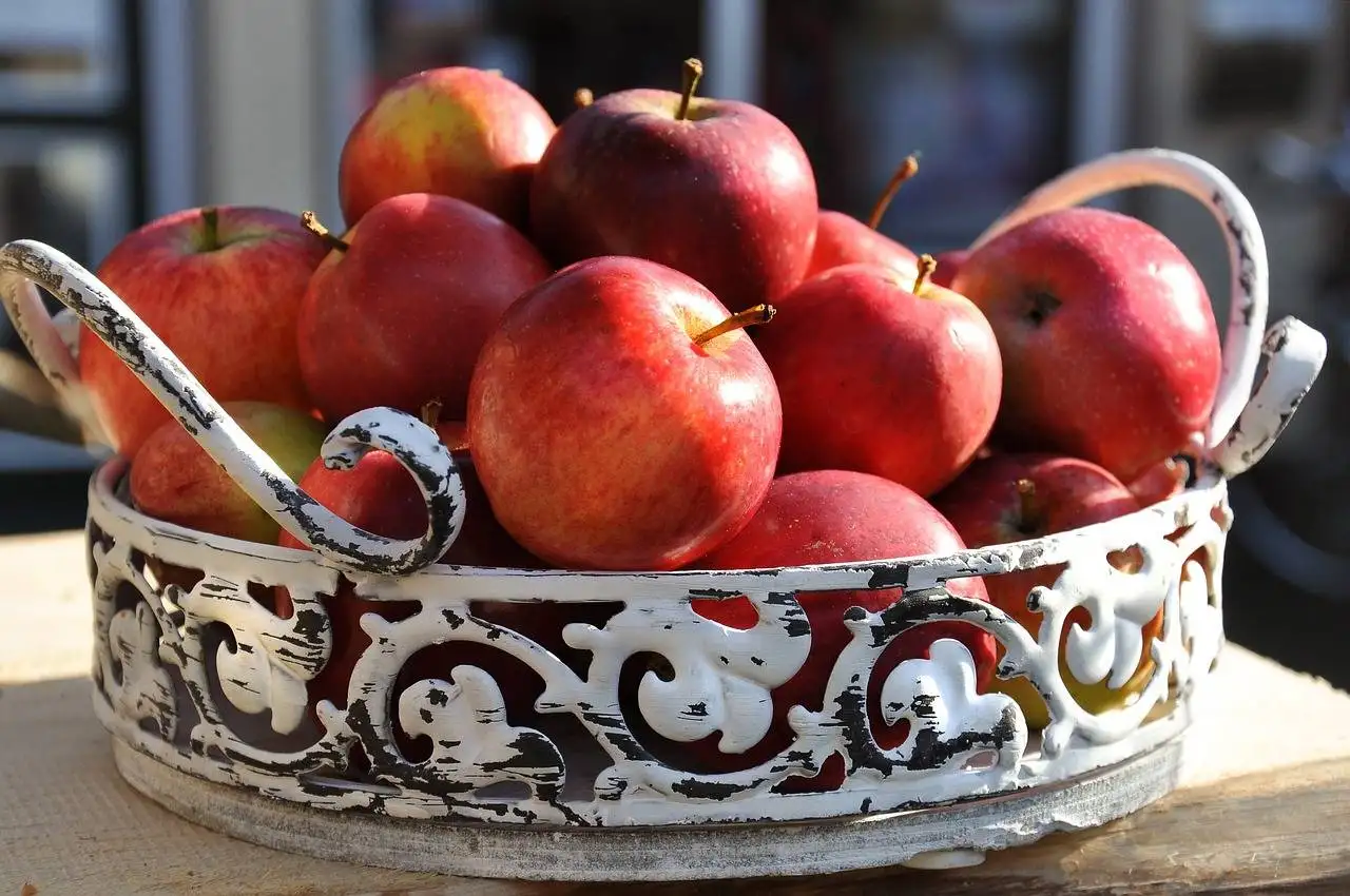 The Growing Trend of Digital Therapeutics for Mental Health