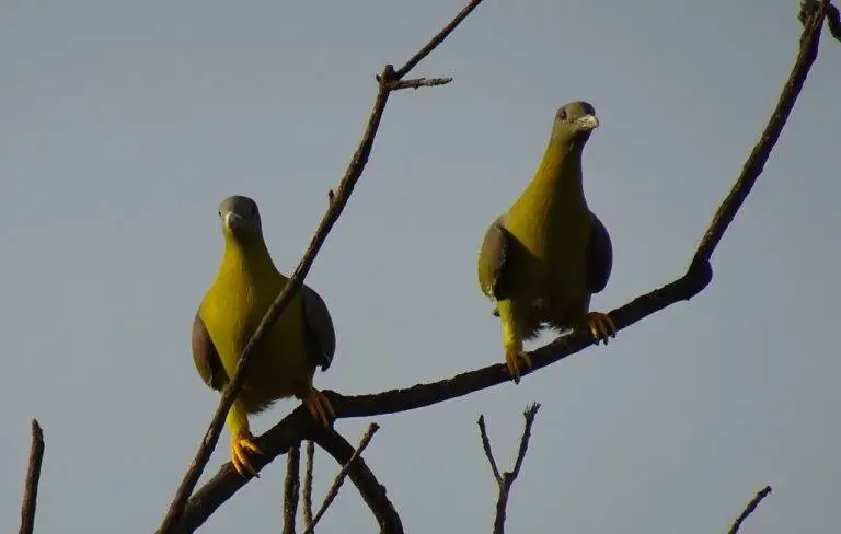 Exploring Political Campaign Outreach Methods