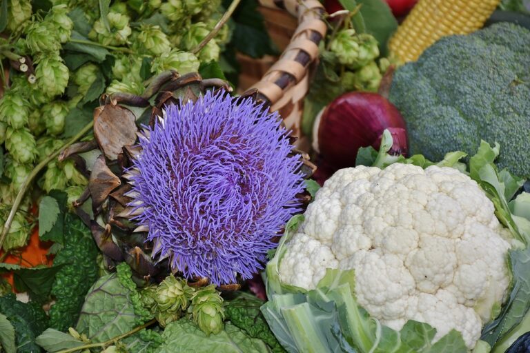 A Deep Dive into Nutritional Supplements: Are They Worth It?