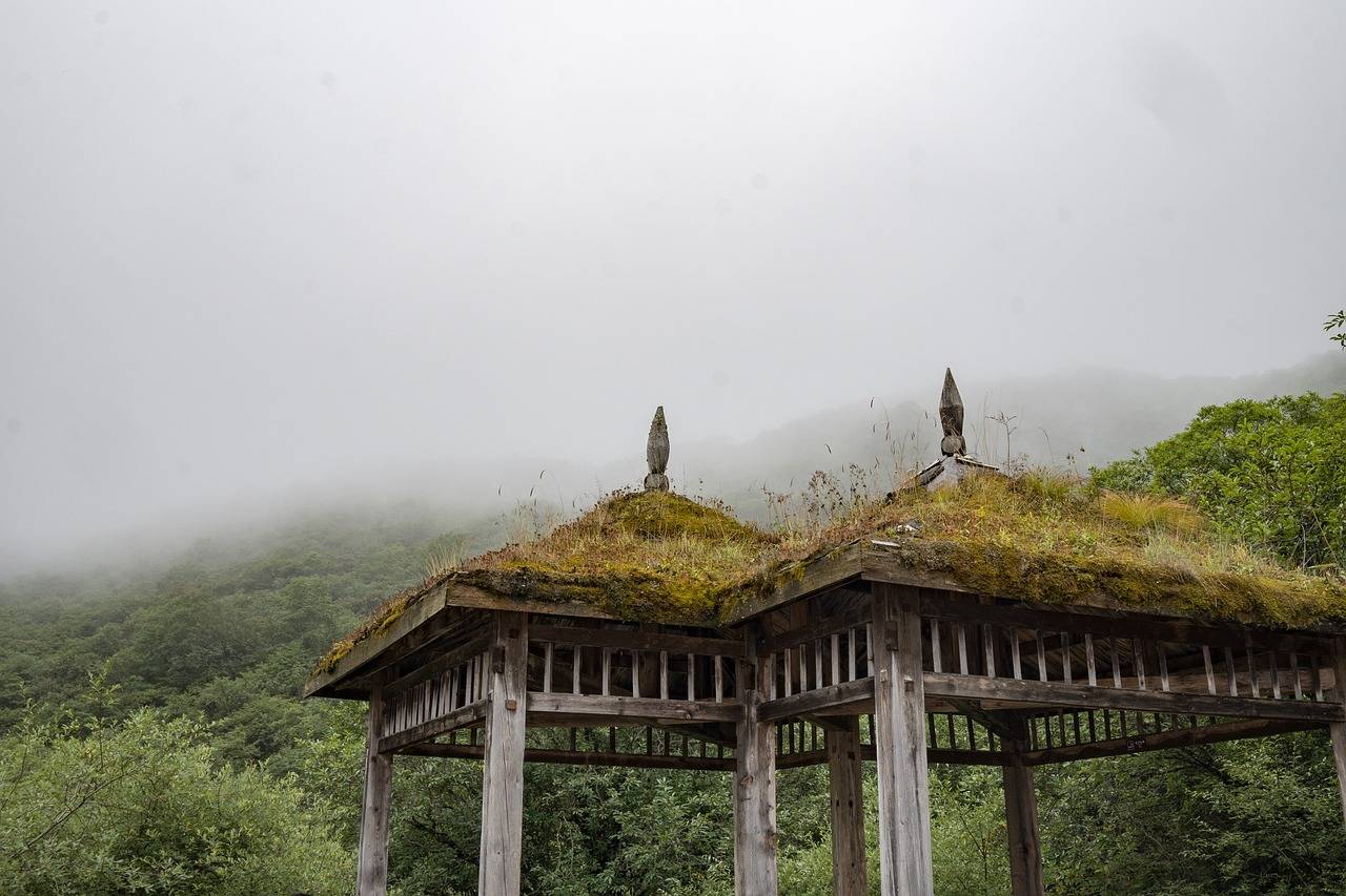 The Role of Loyalty Programs in Shaping Customer Behavior