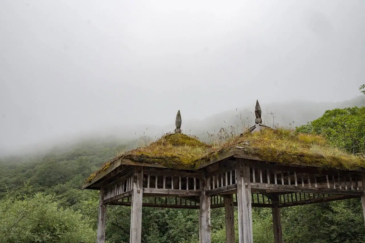 The Role of Loyalty Programs in Shaping Customer Behavior